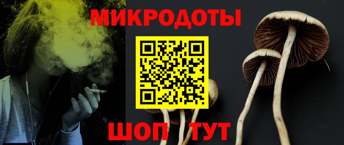 Псилоцибиновые грибы прущие грибы  Псилоцибиновые грибы Psilocybe  Кизляр  как найти наркотики  Вход с VPN 