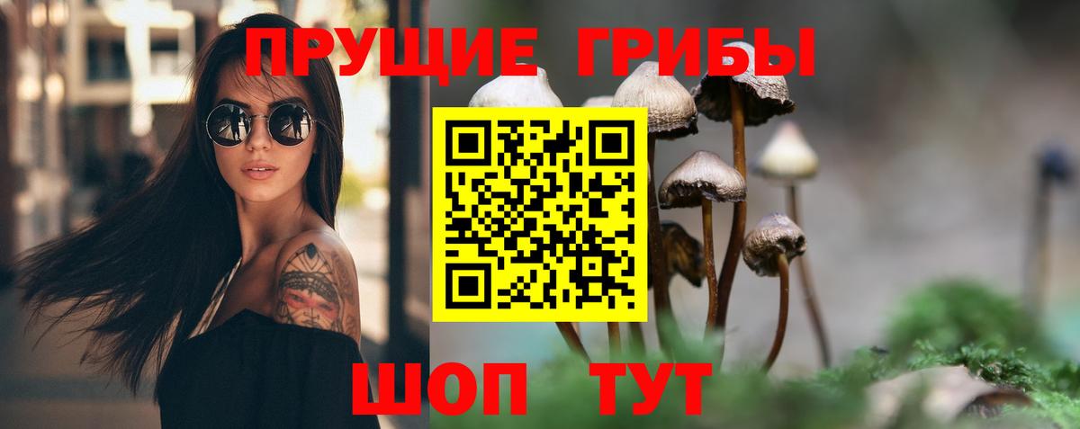 Галлюциногенные грибы прущие грибы Кизляр